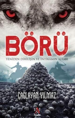 Börü 3